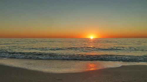 Caprice #501 - main image