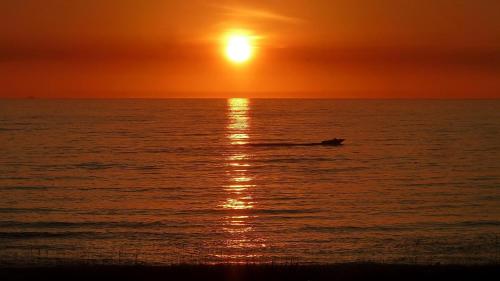 Emerald Isle #401 - image 14