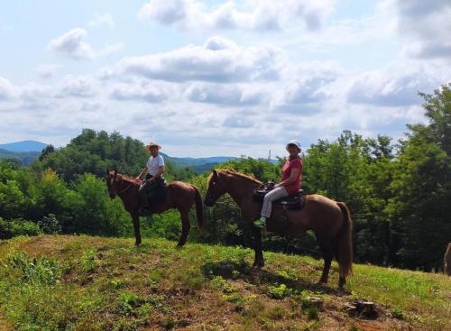 LITTLE FOREST RANCH, NATUR PUR MIT REITMÖGLICHKEIT