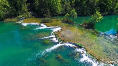 LITTLE FOREST RANCH, NATUR PUR MIT REITMÖGLICHKEIT