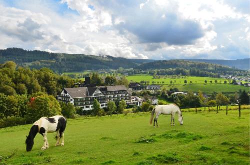 Sauerland Alpin Hotel