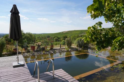 泳池, The view in 伊爾斯費爾德