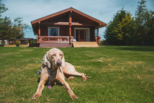 Bunnahahbain - Two Bedroom Luxury Log Cabin with Private Hot Tub, Berwick-upon-Tweed (fotografie 10)