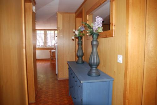 Chalet Tuftbach - image 4