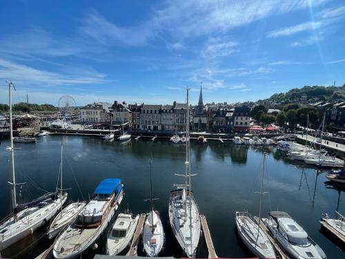 Les appartements du Dauphin - Vue port