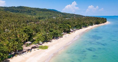 Scandinavian Beach Resort - image 4