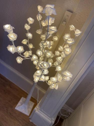 Abbey House B & B - image 7