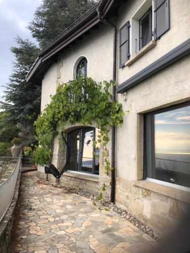 Panoramic Room in the vineyard,stunning views of lake and Alps