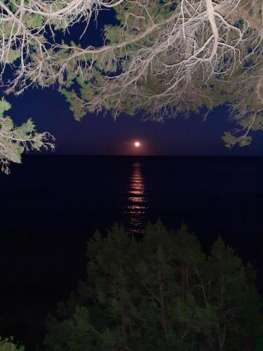 Luna e Mare, Cala Gonone (foto 8)