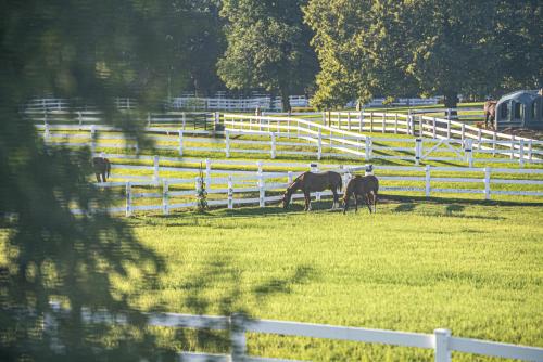 HUGE Crystal Lake 7 Acre Ranch w Pool and Indoor Spa