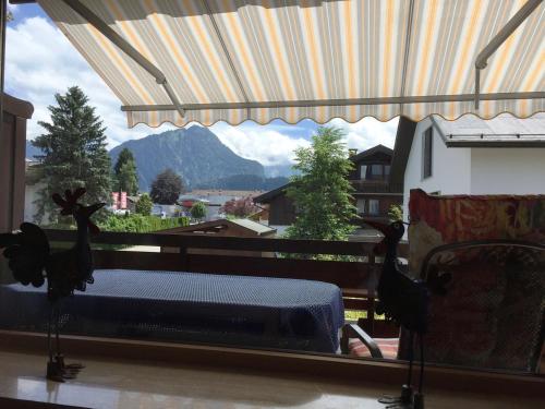 Alpenflair Ferienwohnung 228 Söllereck - image 3