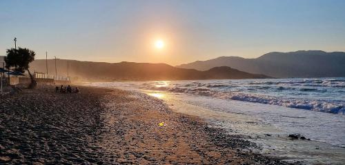 Sunny Bay - image 14
