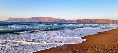 Sunny Bay - image 11
