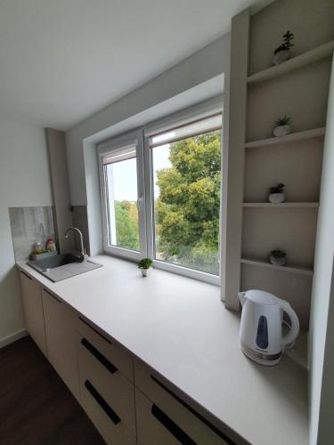 Talsa 1-bedroom apartment in city center Šiauliai Talsa 1-bedroom apartment in city center Šiauliai