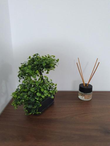 Talsa 1-bedroom apartment in city center Šiauliai Talsa 1-bedroom apartment in city center Šiauliai