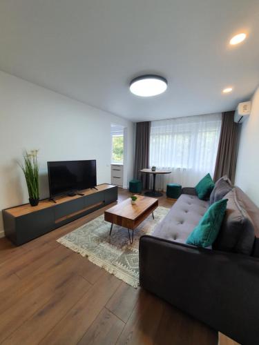 Talsa 1-bedroom apartment in city center Šiauliai Talsa 1-bedroom apartment in city center Šiauliai