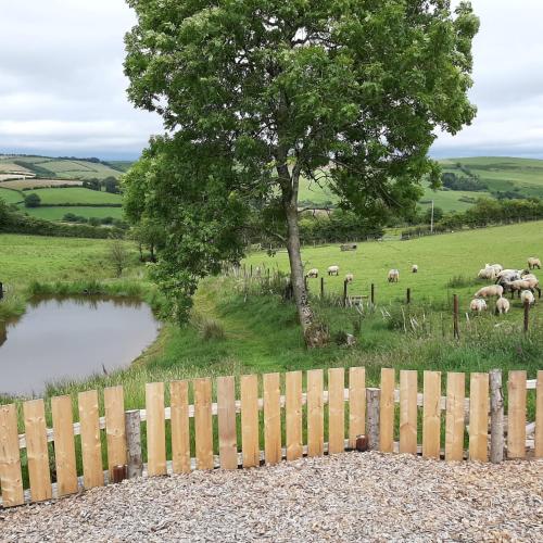 Cornflower Accommodation