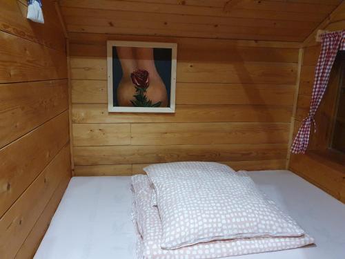 Gnezdo Vid-ik - image 13