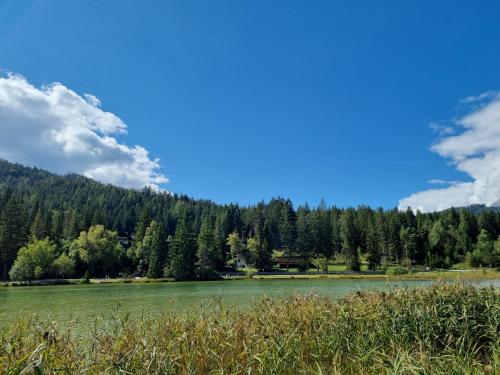 Appartement Bergsee FAMILY - direkt am See - Seeblick