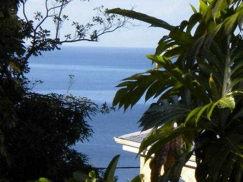 GWAN THAZAR en Guadeloupe - Location saisonnière - Bouillante