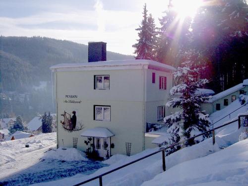 Pension Am Waldesrand - Ilmenau