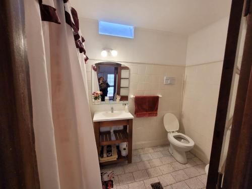 One-Bedroom Apartment image 8