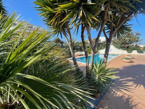 AltaVista Lodge - image 4