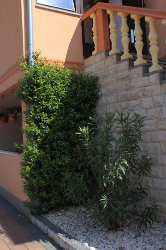 Apartments with a parking space Valbandon Fazana - 2214 - image 14