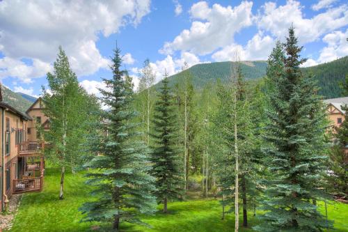 Red Hawk, A Vail Resorts Property, Keystone (foto 6)