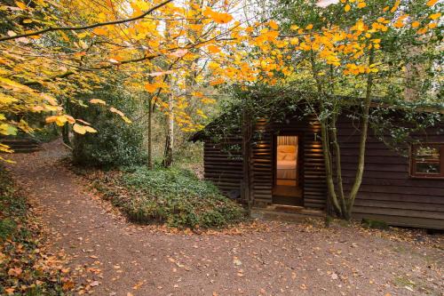 Pinetum Lodge, , Gloucestershire