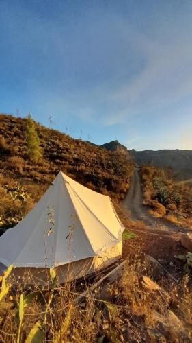 La finca del don Ganapati Gran Canaria