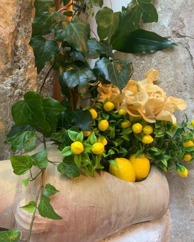 LEMON SUITE Ortigia - Tap to explore photos