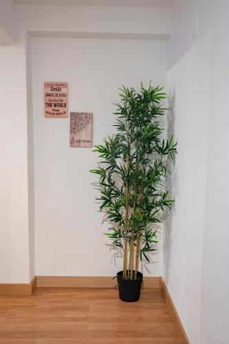 La Casina de Leo y Mía - Centro de Gijón 6p - Wifi - VUT-3398-AS