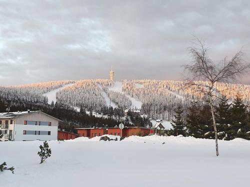 Loučná pod Klínovcem 124/1