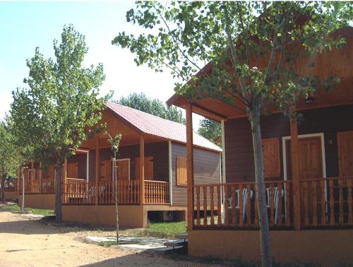 campingstuhl ama Hochwertiger Campingstuhl, Design Kampierstuhl Eiche ecru, faltbar aus Holz   ethicamper