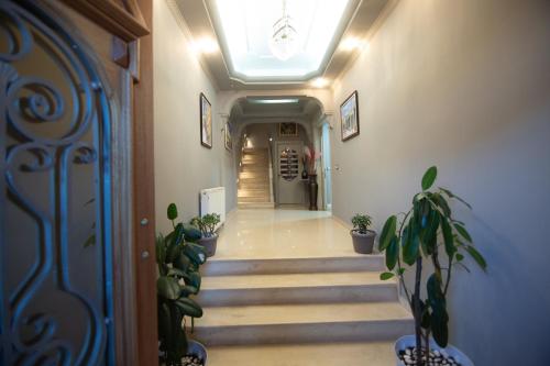 Лоби, Vila Mariss in Корча
