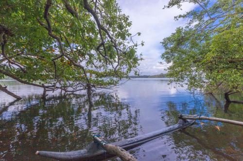 Serendipity Lake - Hikkaduwa