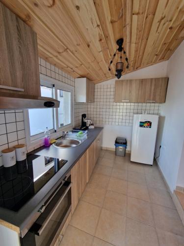 廚房, Aprosmeno House 4 in 阿格羅斯