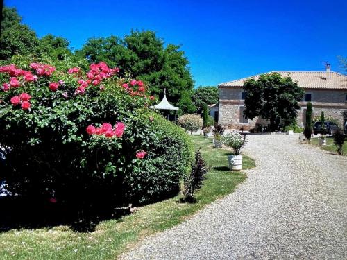 Domaine des oiseaux