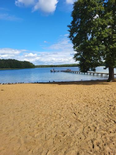 Leśna Zagroda - Dominikowo - Tężnia, sauna, balia