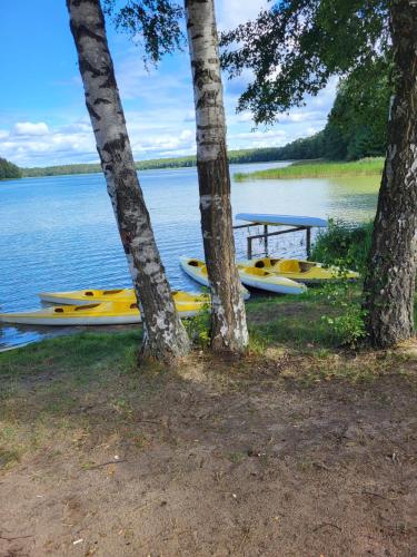 Leśna Zagroda - Dominikowo - Tężnia, sauna, balia