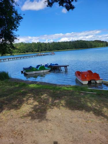 Leśna Zagroda - Dominikowo - Tężnia, sauna, balia