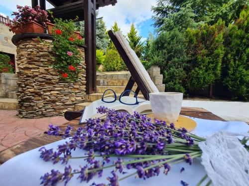 Apart Hotel Orbilux - Free Fitness & Pool - image 7