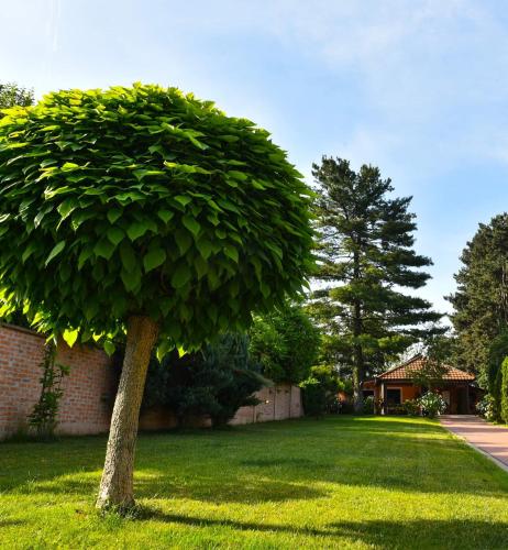 Kuca za odmor AVALA - image 6