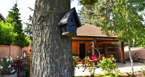 Kuca za odmor AVALA - image 4