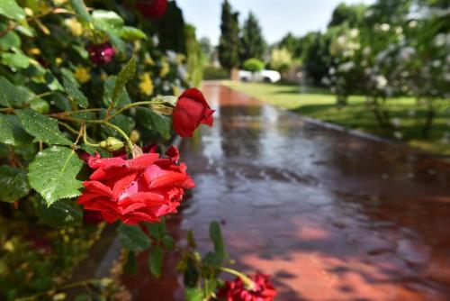 Kuca za odmor AVALA - image 9