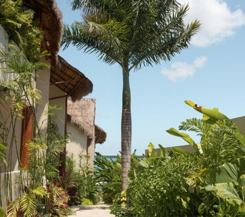 View, Puerta del Cielo Hotel Origen in Bacalar