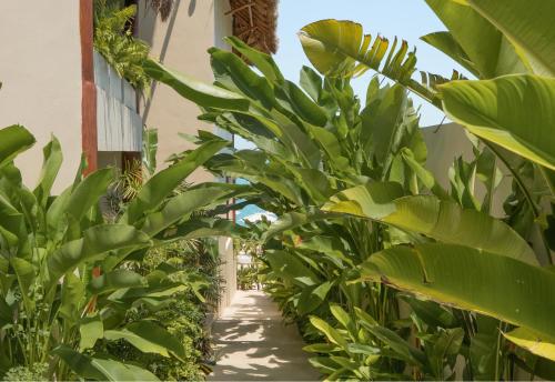 Puerta del Cielo Hotel Origen