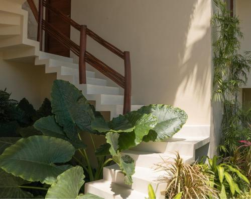 Garden, Puerta del Cielo Hotel Origen in Bacalar