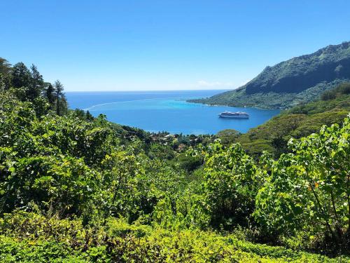 A környék, Fare To'erau & Mara'amu in Papetoai